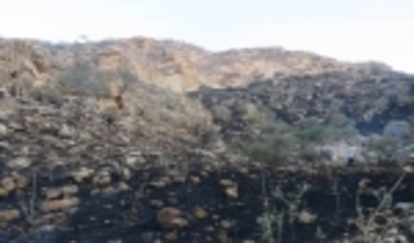 مهار آتش سوزی در منطقه حفاظت شده کوه بیرمی