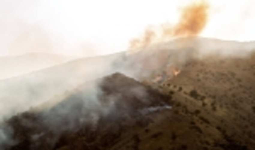 تلاش برای مهار کامل آتش‌سوزی در کوه سیاه دشتستان ادامه دارد