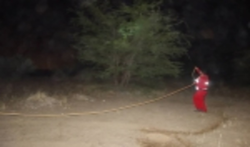 آتش سوزی در ارتفاعات بهمرد دشتستان خاموش شد 