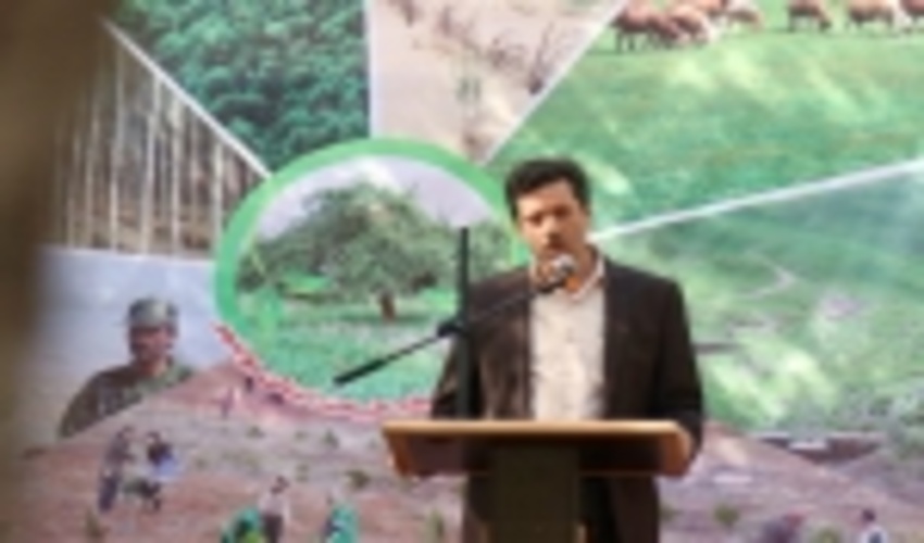 کاشت گونه بومی حرا در سواحل استان بوشهر