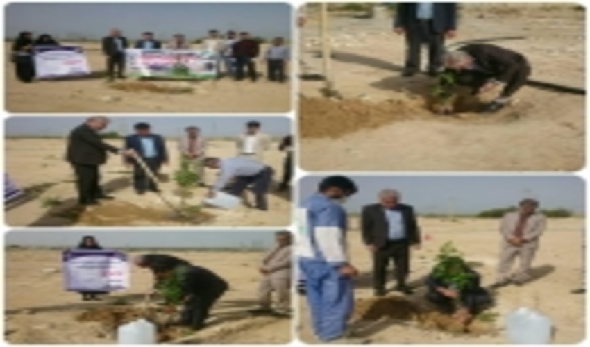 تلاش برای مبارزه با تغییرات اقلیمی و حفاظت از منابع تا تنفس جنگل‌ها 