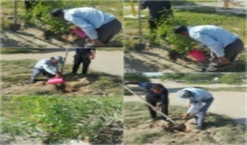 منابع طبیعی بوشهر برای کمک به تحقق جهش تولید آماده‌است