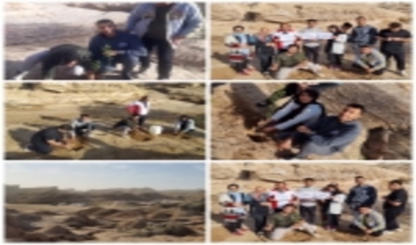 پویش نهالکاری توسط کوهنوردان طبیعت دوست شهرستان گناوه 