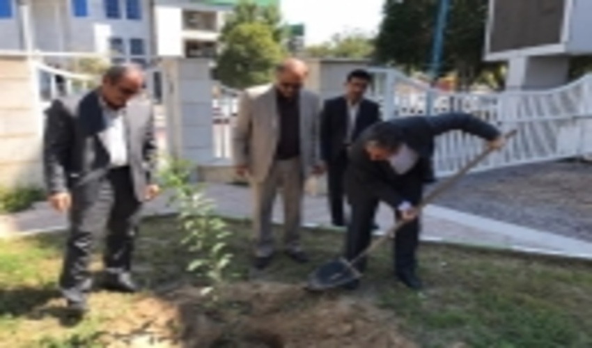 زندگی سالم در گرو محیط سالم است