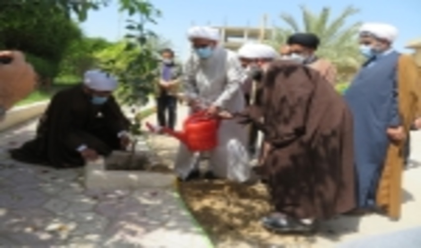 غرس نهال توسط  امام جمعه بوشهر بمناسبت آغاز هفته منابع طبیعی 