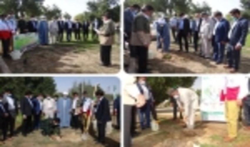 در سال جاری ۱۳ بند سنگی ملاتی با اعتبار ۸۷ میلیارد ریال در شهرستان دشتی اجرا شده است.