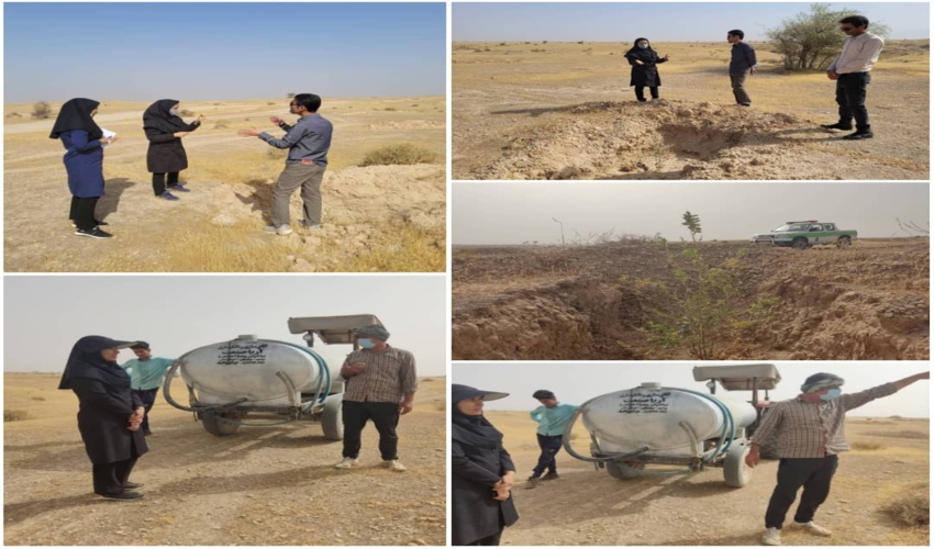 بازدید از پروژه مراقبت و آبیاری نهالکاری سنواتی ۵۰ هکتاری بویری شهرستان دشتستان