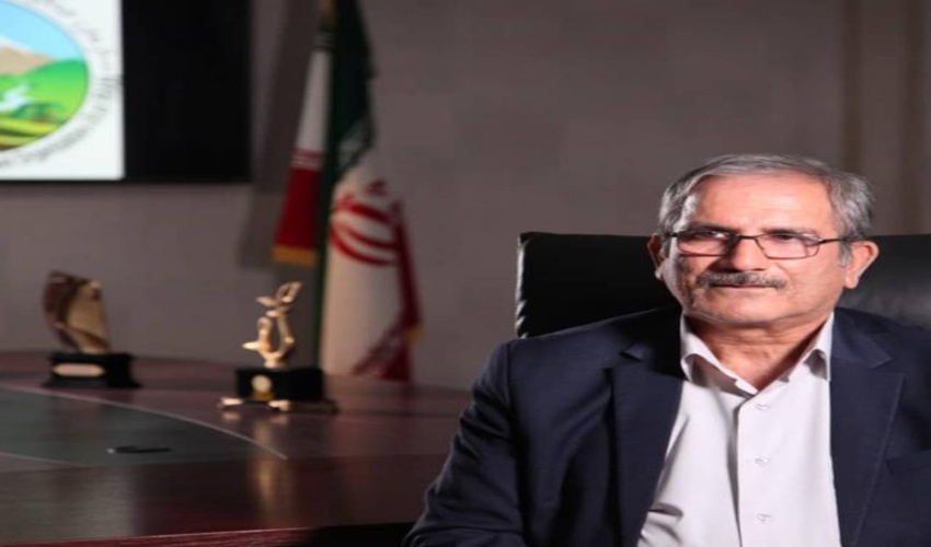 صاحبان پروانه چرای دام فقط تا پایان سال جاری فرصت تمدید دارند