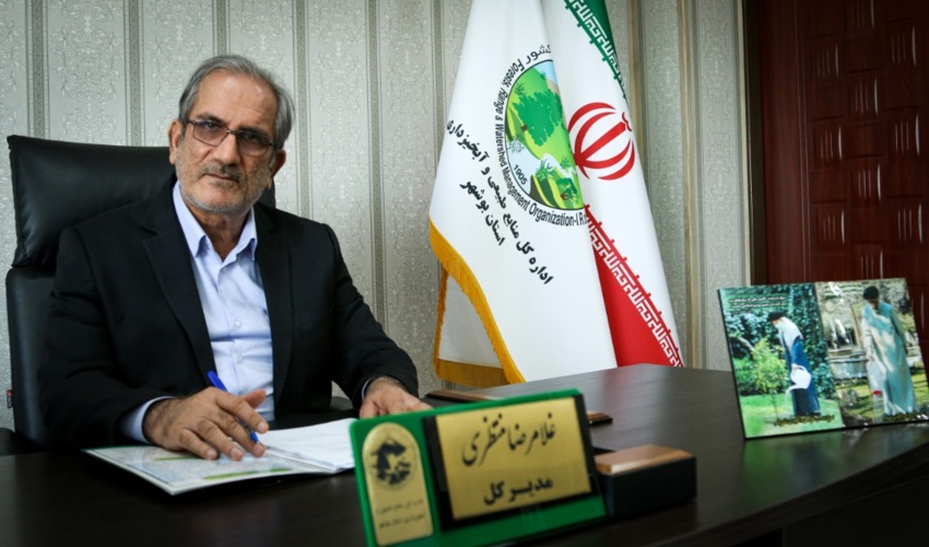 پیام تبریک مدیر کل منابع طبیعی و آبخیزدرای استان بوشهر   به مناسبت هفته دولت 