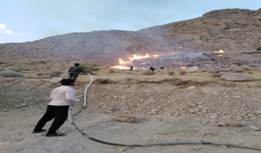 آتش سوزی در منابع طبیعی استان بوشهر کاهش یافت