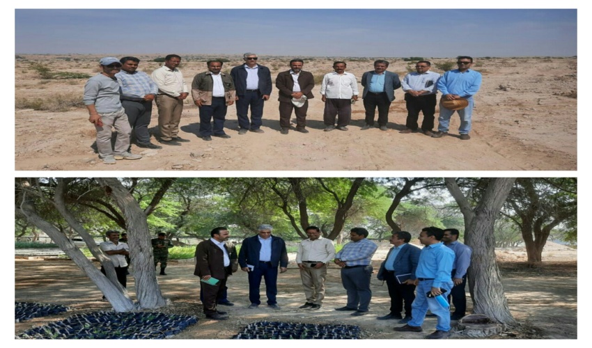 بازدید مدیرکل دفتر بیابان از پروژه های بخش فنی در شهرستان دیر