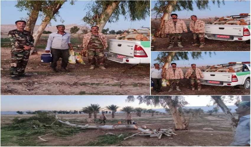 توقف عملیات قطع درخت در اراضی ملی بخش بوشکان شهرستان دشتستان