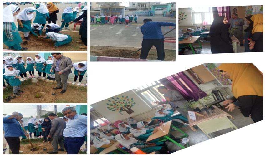 برگزاری کلاس آموزشی جذب همیار طبیعت شهرستان بوشهر