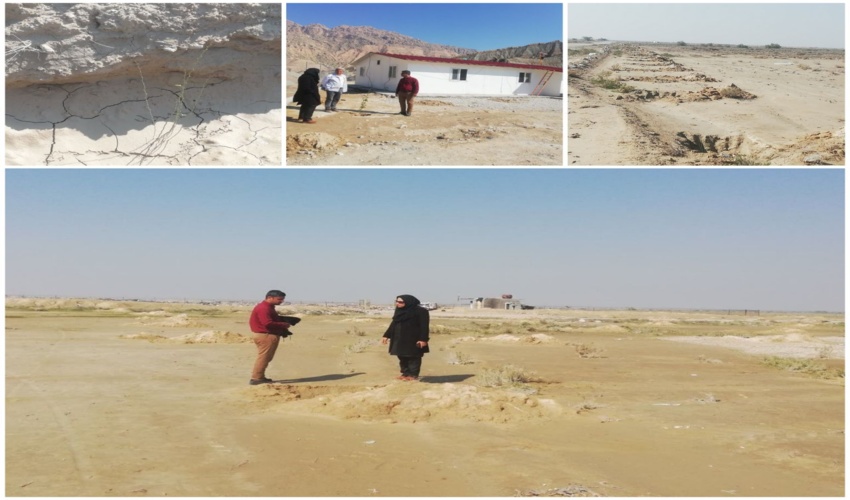  بازدید رئیس اداره تنگستان از  پروژه مشارکتی درختکاری روستای محمود احمدی(منصوری جنوبی)