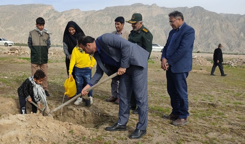 ۶۹۰ هزار اصله نهال در استان بوشهر تولید شد