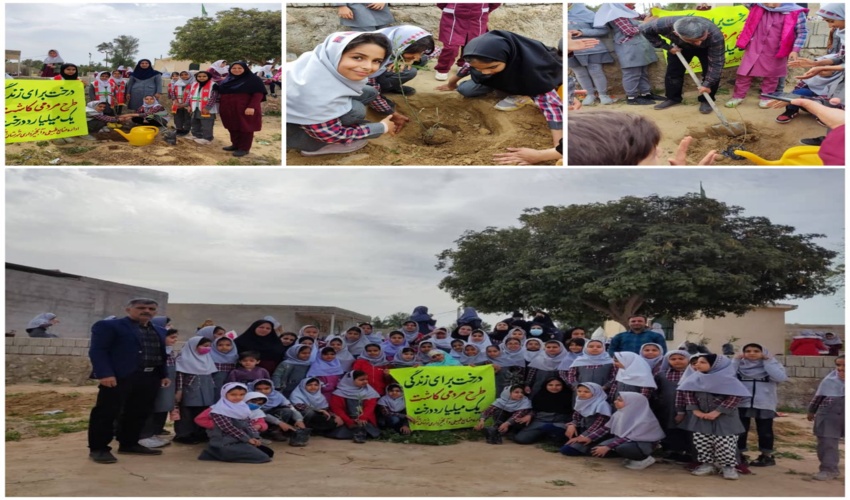 آموزش کاشت درختکاری به دانش اموزان دبستان دخترانه تدبیر شهرستان تنگستان 