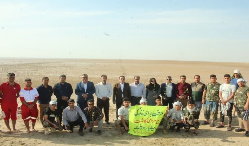  کاشت نهال حرا در سواحل زیبای بخش دلوار