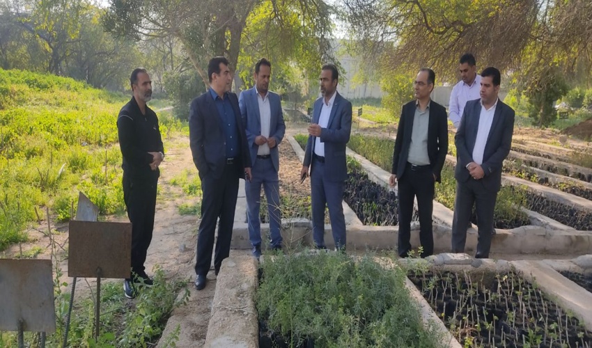 بازدید دبیر طرح مردمی کاشت یک میلیارد درخت از نهالستان مرکزی بوشهر 