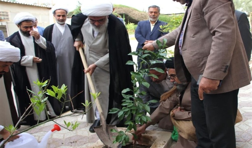 روز درختکاری در بوشهر/ کاشت نهال توسط نماینده ولی فقیه 