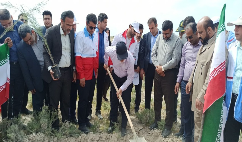 کاشت ۲۰۰۰نهال در استان بوشهر به مناسبت صدمین سال تاسیس هلال احمر