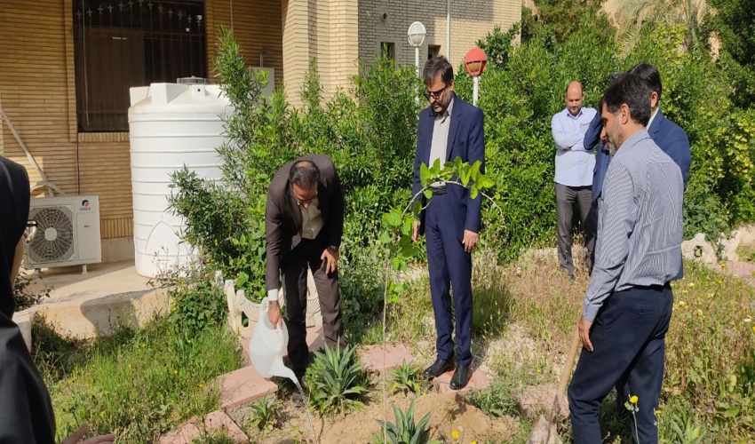 درختی به یاد زنده یاد حسین دهقان در صداوسیمای بوشهر نشانده شد