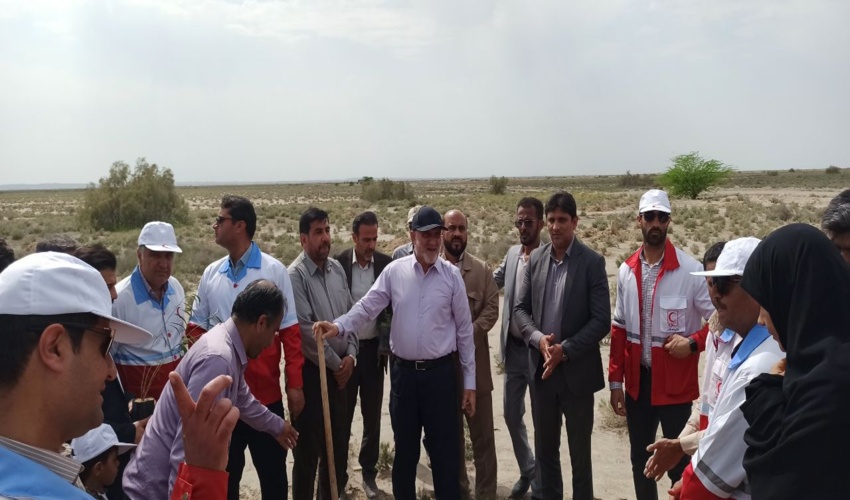 پارک‌های جنگلی در سراسر استان بوشهر ایجاد می‌شود