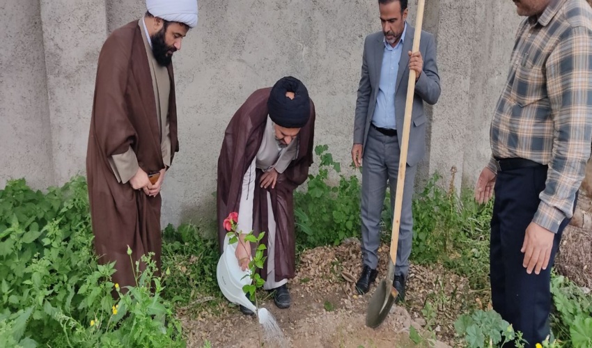 کاشت درخت در محوطه امامزاده محمد باقر (ع)بوشهر