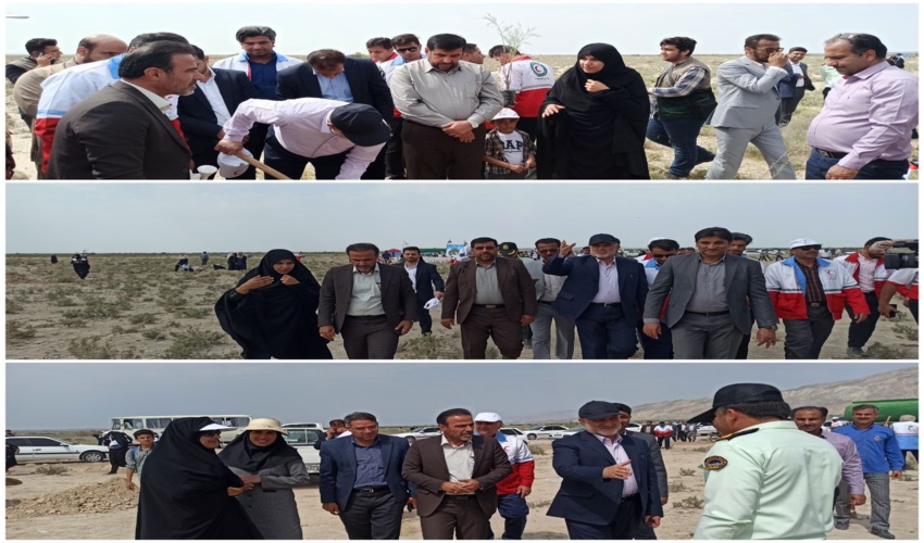 حضور استاندار محترم استان بوشهر در طرح درختکاری منصوری جنوبی