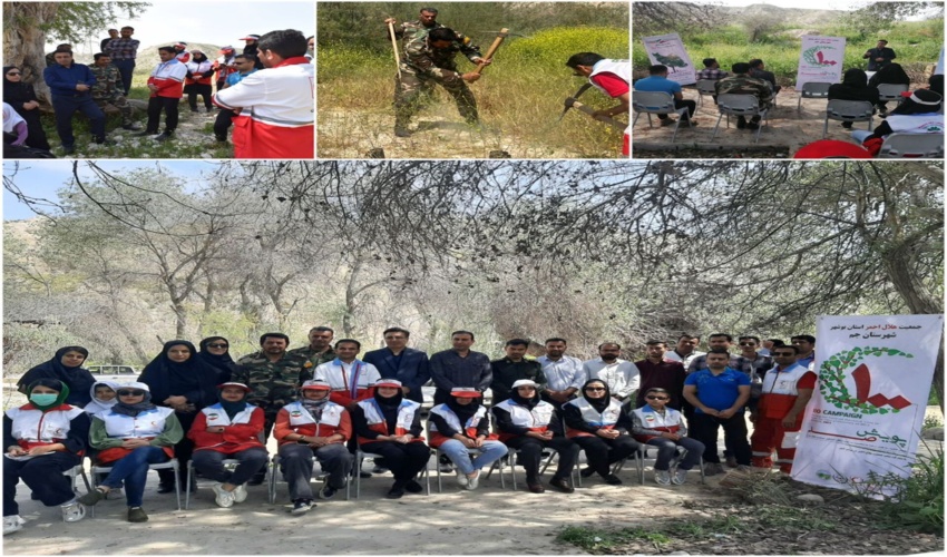 برگزاری پویش ملی صد در جنگل گلوبردکان ریز شهرستان جم