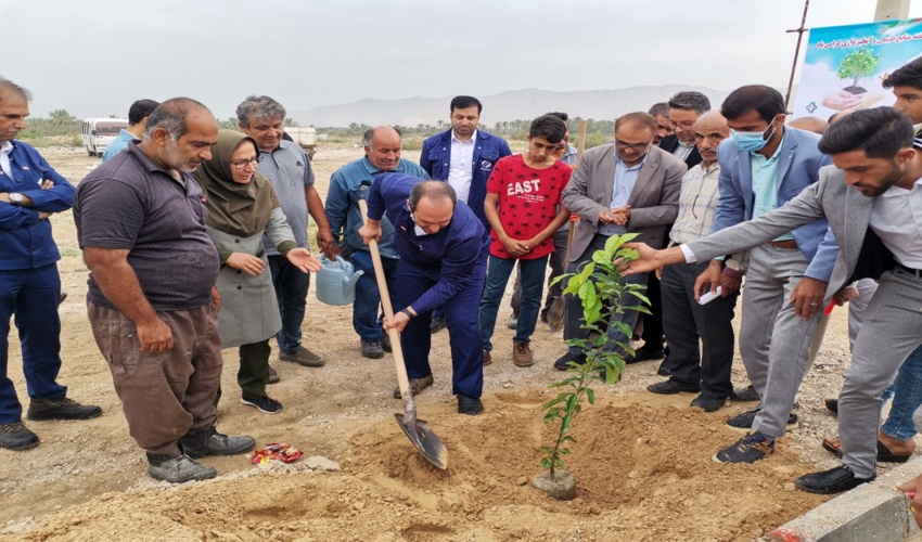 نهال کاری در حاشیه ورودی روستای راهدار دشتستان