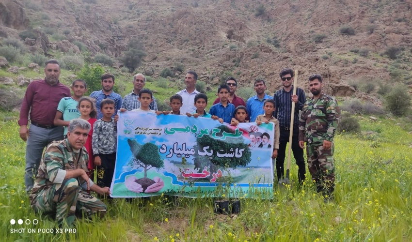 نهال کاری در منطقه درنگ بخش بوشکان شهرستان دشتستان 