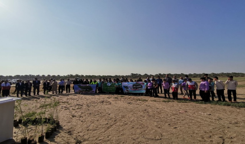 اجرای سه هکتار درختکاری مشارکتی در روستای زیارت شهرستان دشتستان 