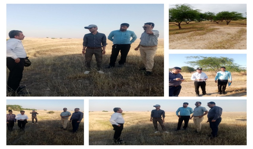 بازدید بازرسان سازمان منابع طبیعی و آبخیزداری کشور از پروژه های 1401 بخش بیابان  شهرستان دیلم