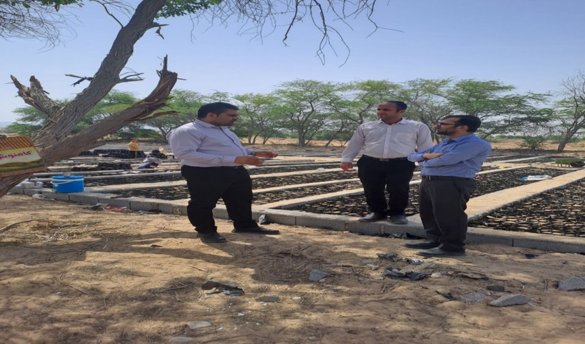 بازدید دبیر طرح مردمی کاشت یک میلیارد درخت از نهالستان شهرستان دیر 