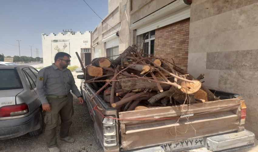 توقیف محموله چوب قاچاق در شهرستان بوشهر 