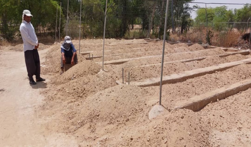 آماده سازی نهالستان پارک سرکره جهت تولید نهال 