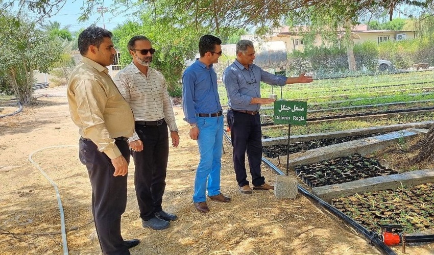 بازدید کارشناسان فنی اداره کل منابع طبیعی و آبخیزداری استان بوشهر از اجرای روند انجام عملیات طرح مردمی کاشت یک میلیارد درخت در نهاستان بوشهر