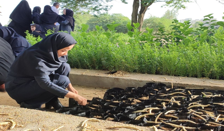  گرامیداشت روز جهانی «  مقابله با بیابان‌زدایی و خشکسالی در استان بوشهر 