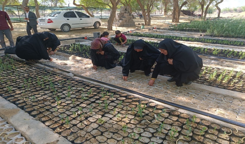 گرامیداشت روز جهانی مقابله با بیابان‌ زایی و خشکسالی در شهرستان دیر