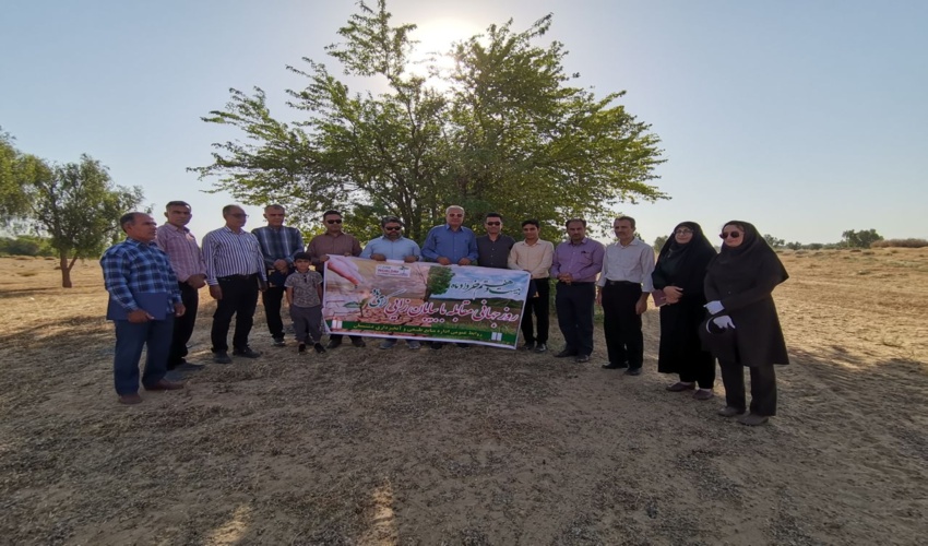 نهال کاری مشارکتی در کانون فرسایش بادی گندم ریز  به میزان ۱۲ هکتار در شهرستان دشتستان 