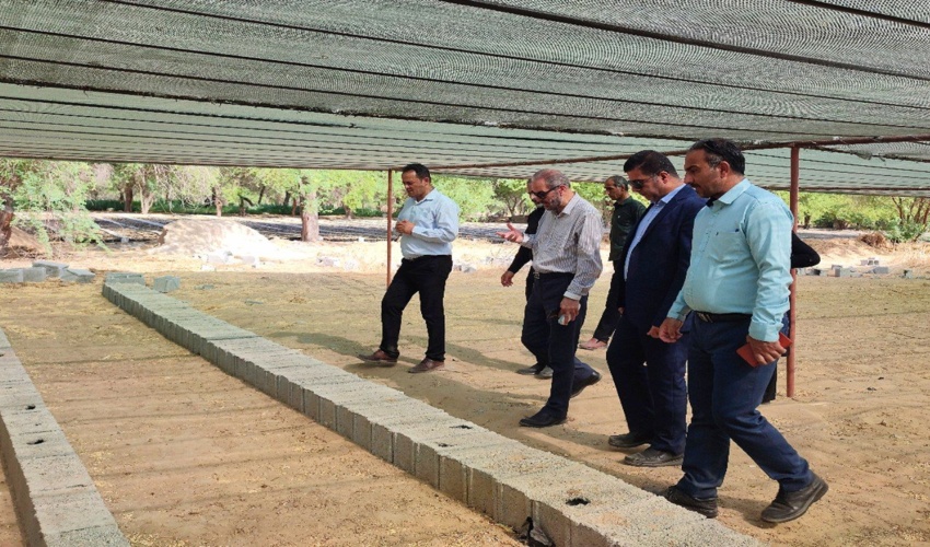 معاون توسعه مدیریت و سرمایه انسانی سازمان مدیریت و برنامه‌ریزی استان بوشهر در نهالستان چاهکوتاه بوشهر 