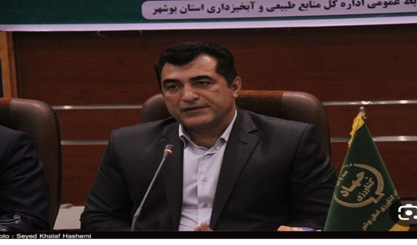 اختصاص ۲۴۰ میلیارد تومان در قالب ردیف بودجه مستقل به طرح کاشت یک میلیارد درخت