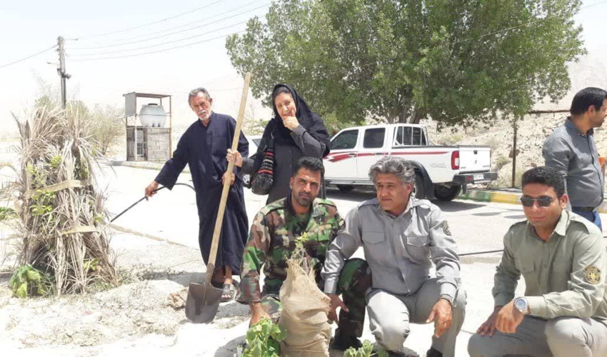 به مناسبت روز جهانی جنگلبان غرس چند نهال نمادین با حضور مسئولین استانی در شهرستان کنگان 