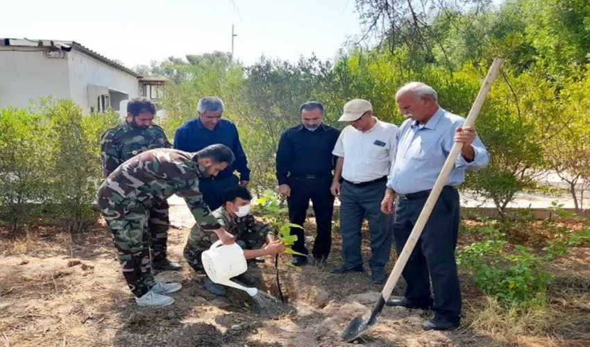 کاشت نهال به مناسبت روز جهانی جنگلبان در شهرستان بوشهر