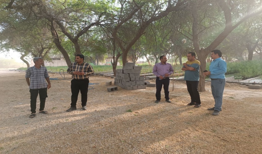 بازدید معاون فنی اداره کل منابع طبیعی و آبخیزدرای بوشهر  از طرح جنگل‌کاری مشارکتی شرکت پتروجم