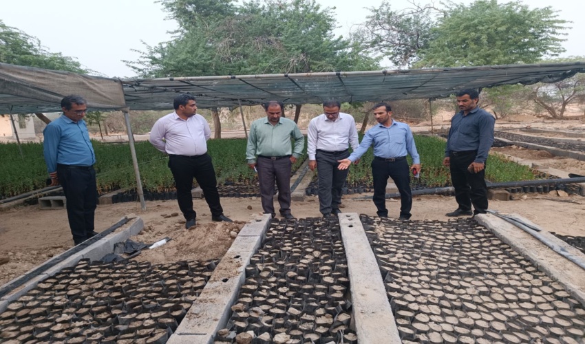 بازدید میدانی مدیر کل منابع طبیعی و آبخیزداری استان از نهالستان بردخون