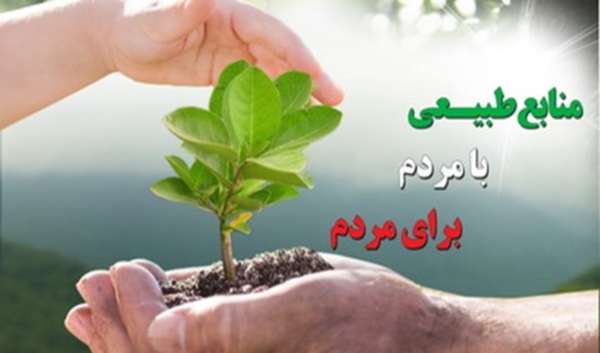      سامانه تولید و کاشت درخت راه اندازی شد