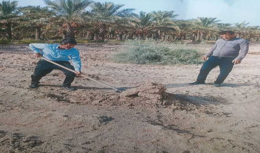 اجرای حکم خلع ید از اراضی ملی در پلاک فاریاب مزارعی