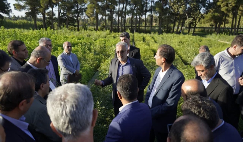  بازدید مدیران منابع طبیعی کشور از نهالستان بزرگ کرج