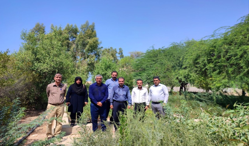 بازدید کمیته علمی طرح مردمی کاشت یک میلیارد درخت از نهالستان بوشهر